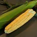 corn