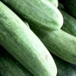 cucumber