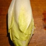 chicory chicory