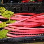 rhubarb rhubarb