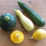 squashes