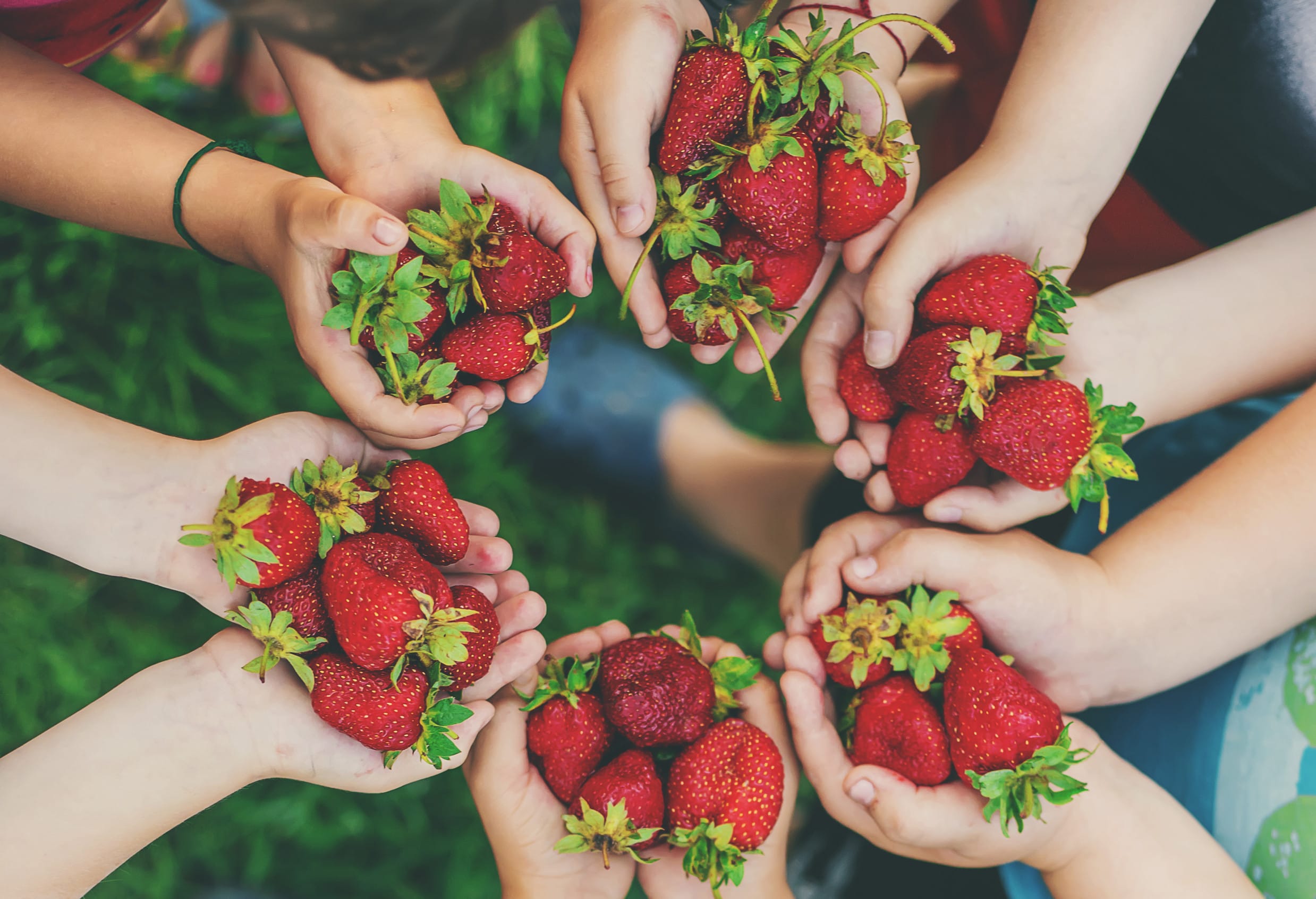 what's in season - strawberries