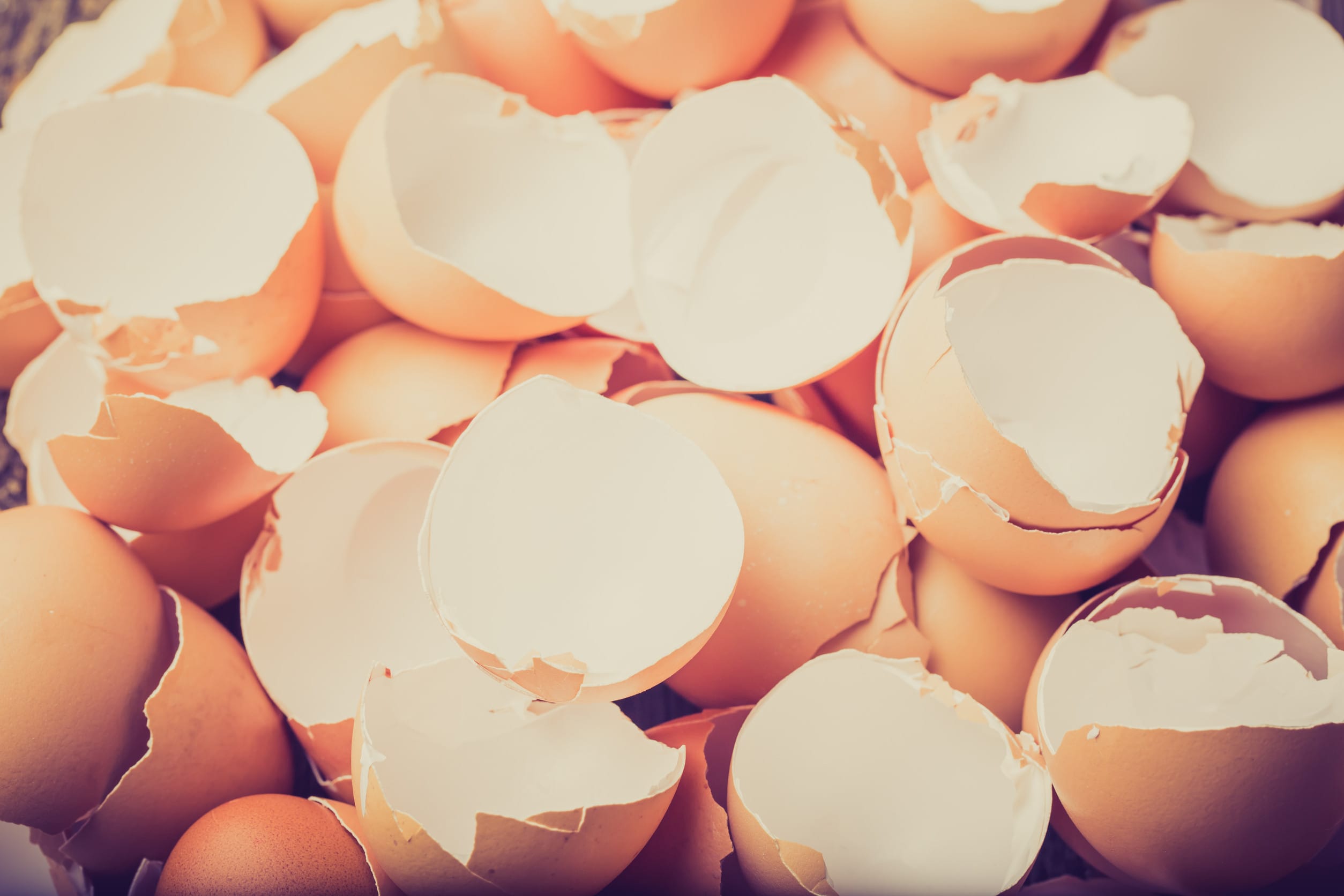 uses for eggshells