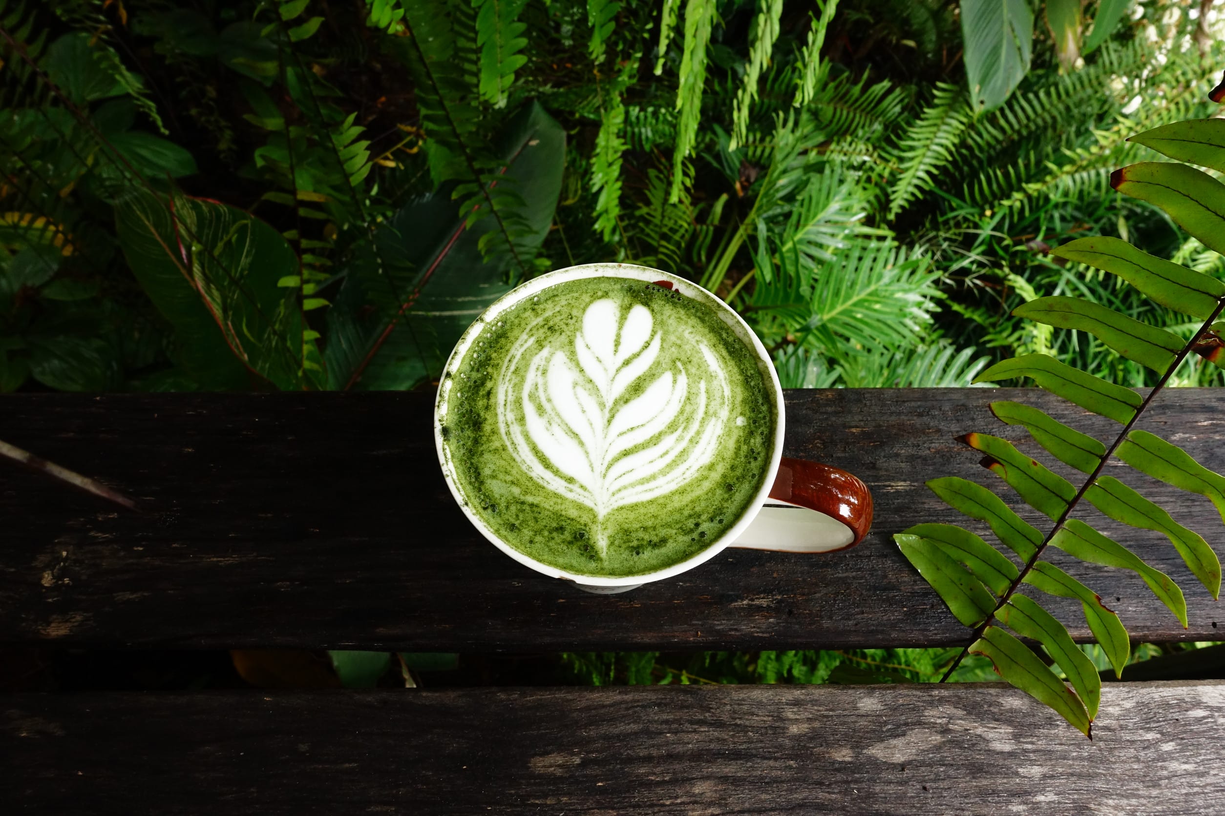 coffee alternatives