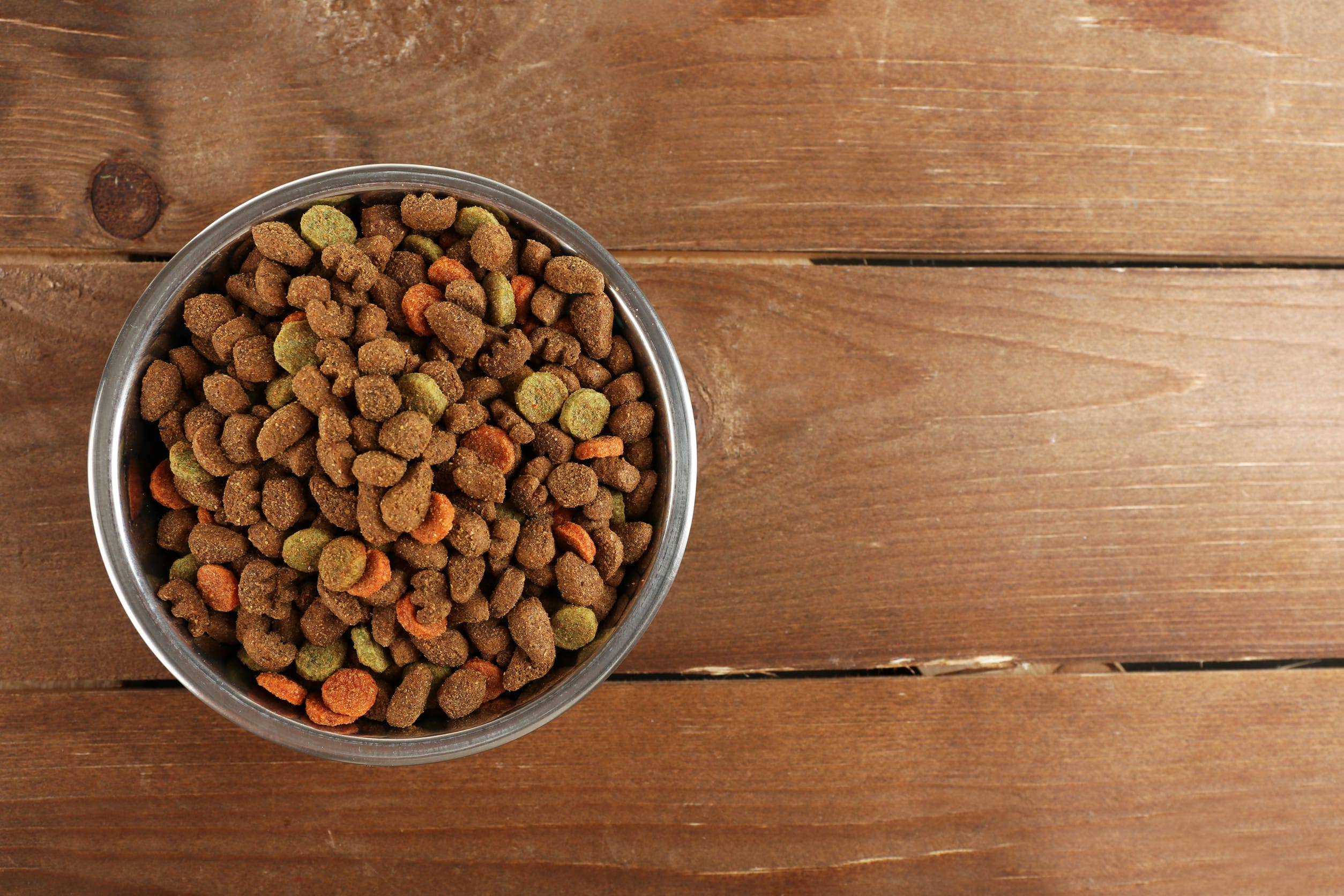 Dog food in bowl