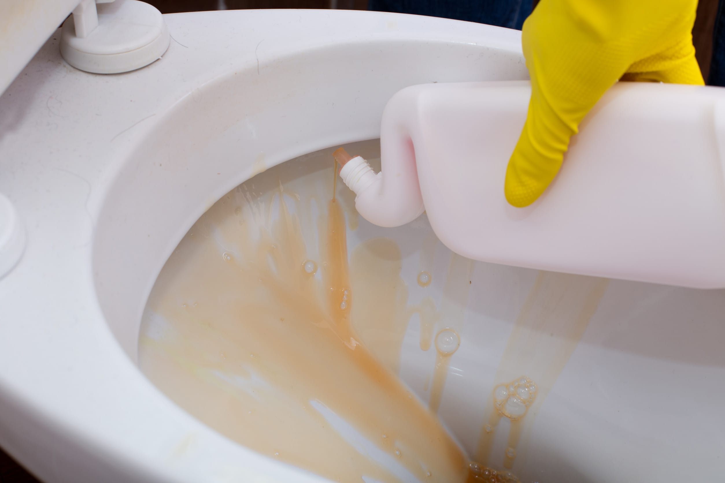 things you should never flush