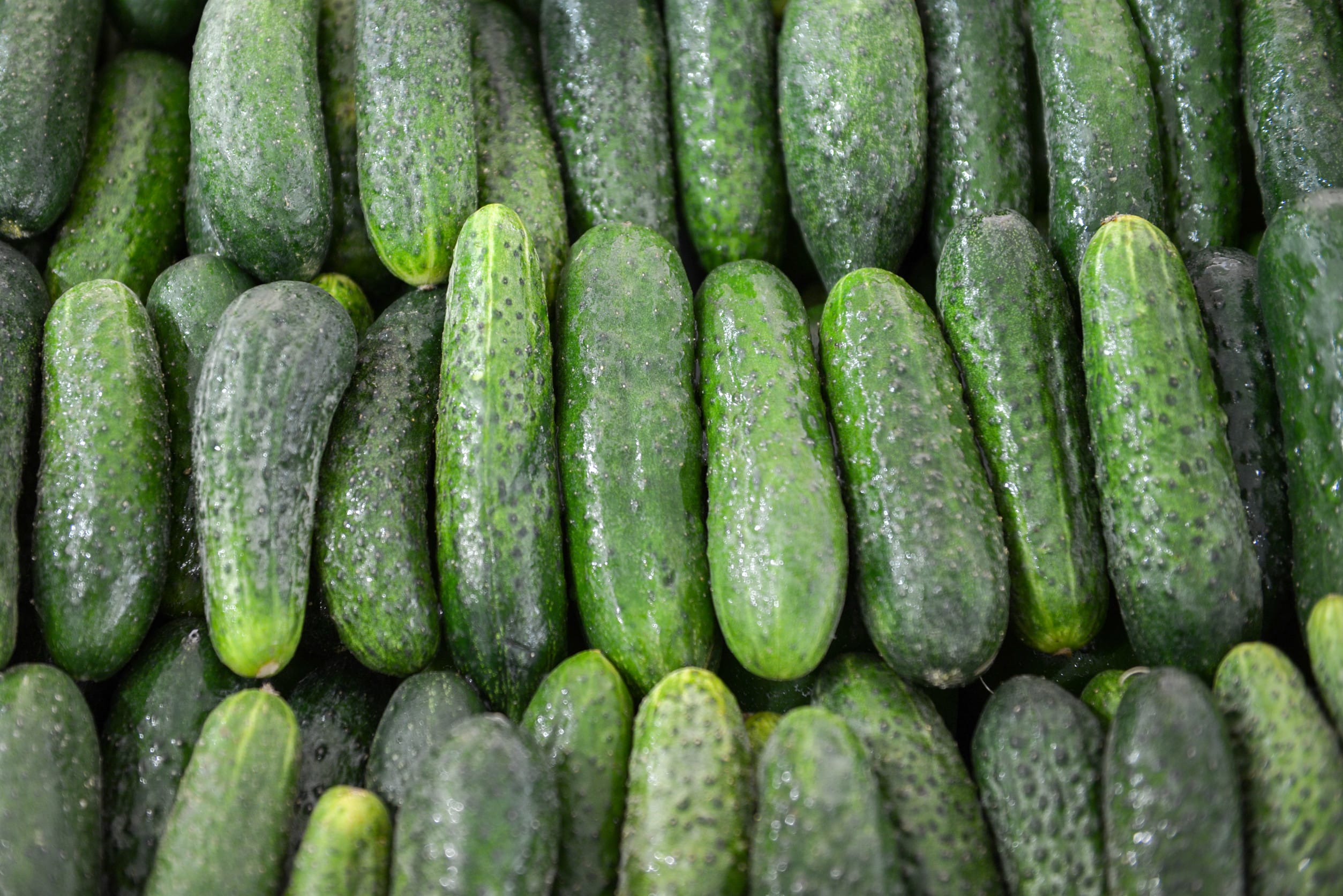 costco items not worth it - English cucumbers