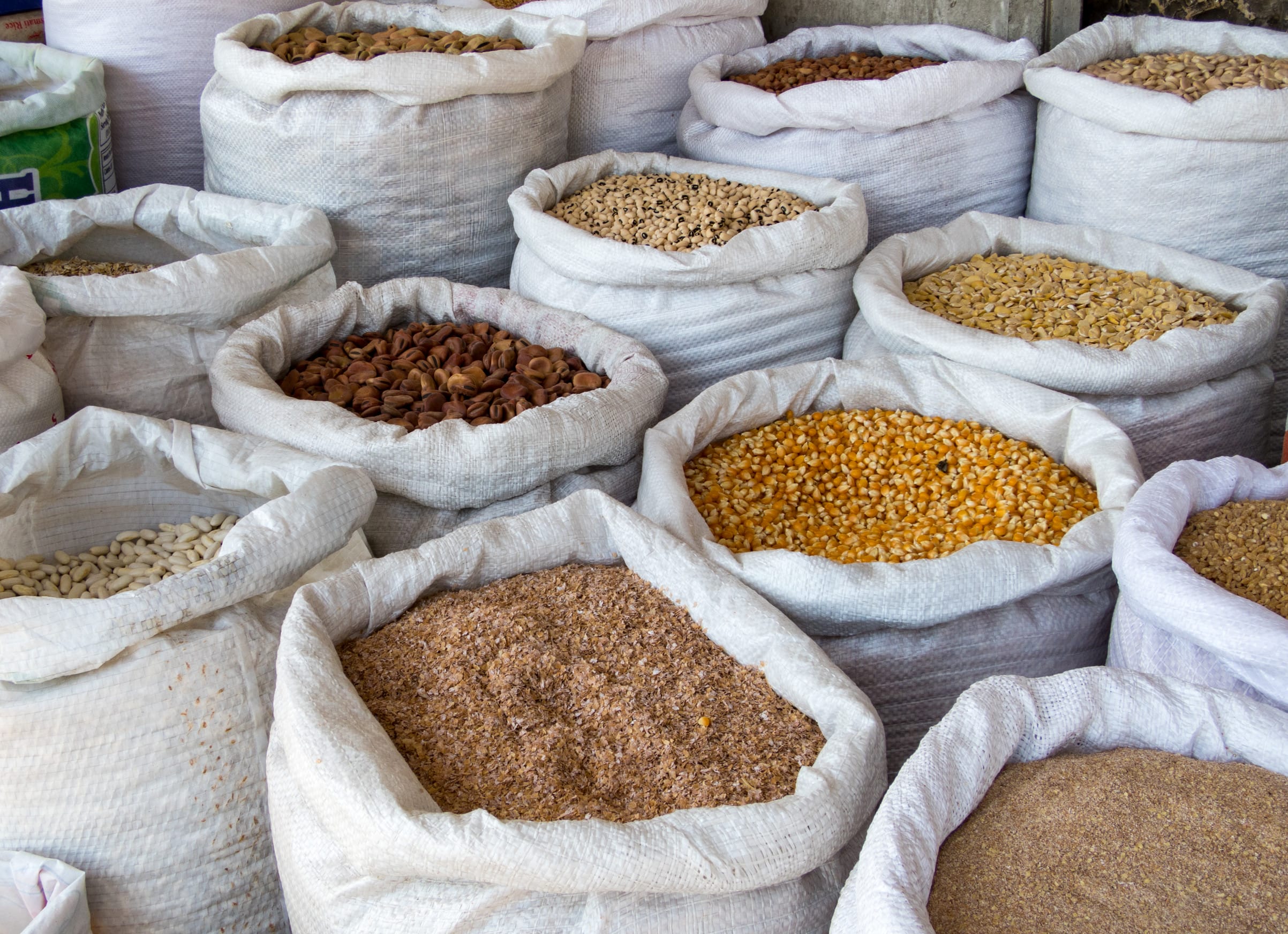 Sacks of Grain storing food in bulk