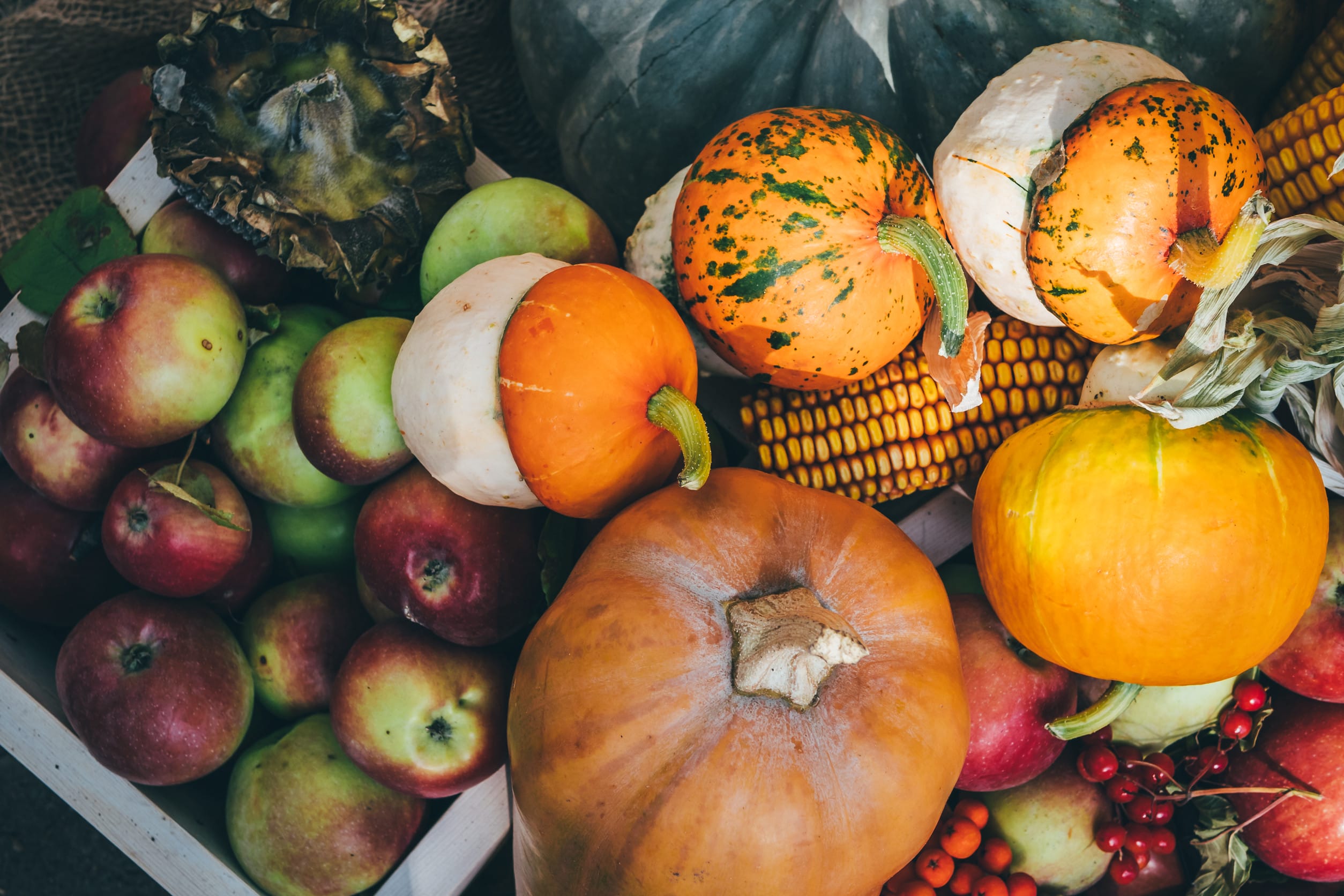 grocery price increases