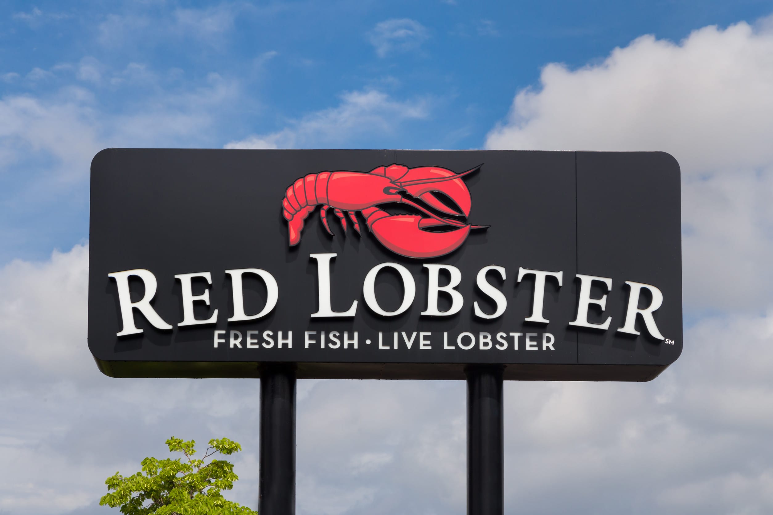 new Red Lobster