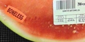 grocery store fails