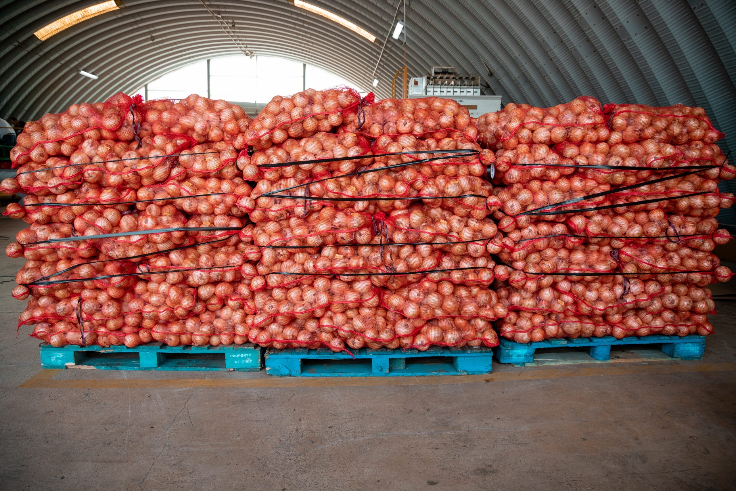 7. A Huge Bag of Onions