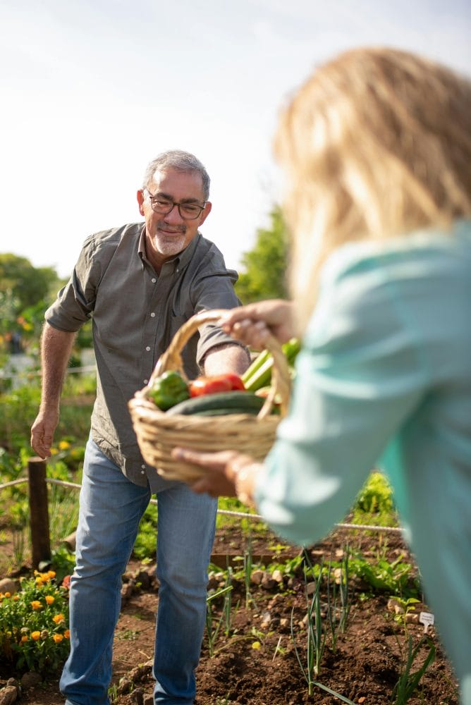 4. Community Garden Initiatives
