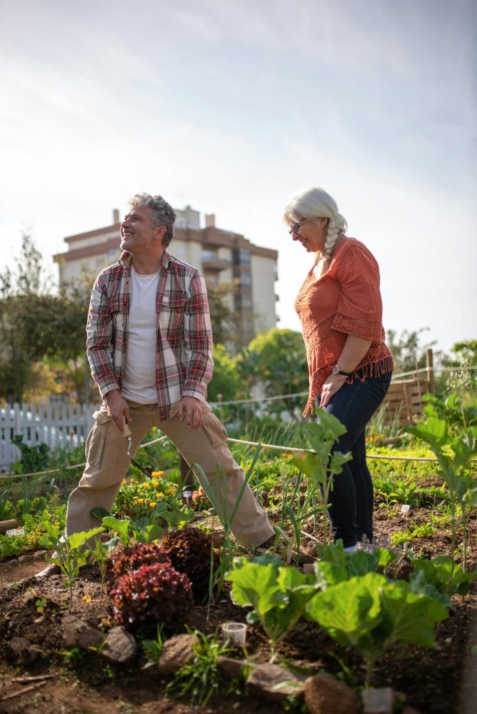 4. Fostering Community Connections